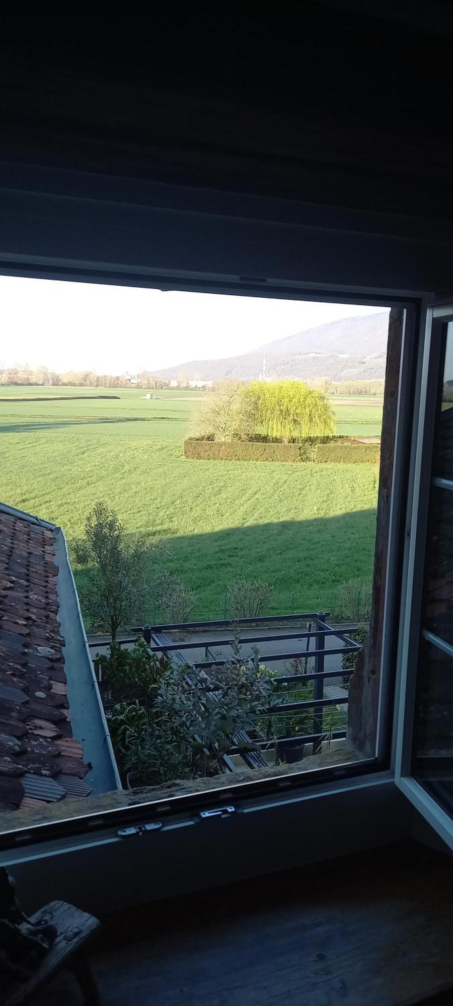 Le Landeron Au Bourg Bed & Breakfast エクステリア 写真
